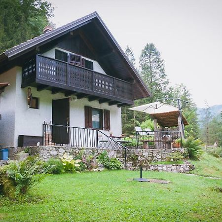 Naturalina Holiday House Gorenja Trebusa Экстерьер фото