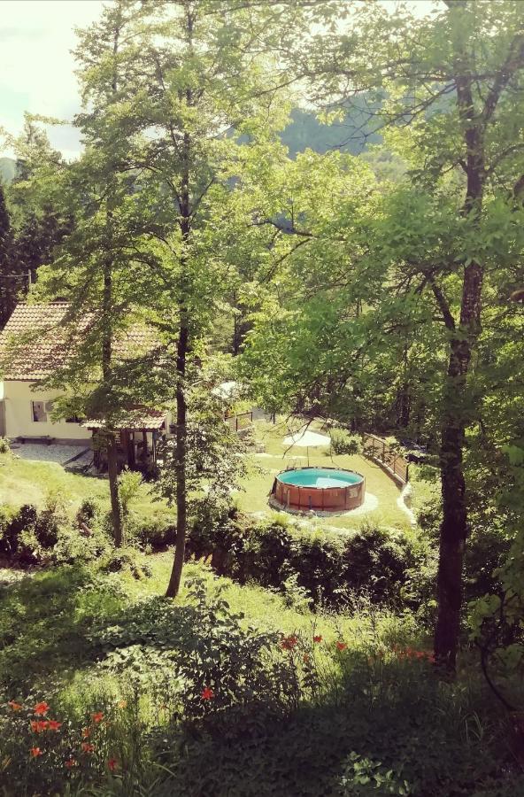 Naturalina Holiday House Gorenja Trebusa Экстерьер фото