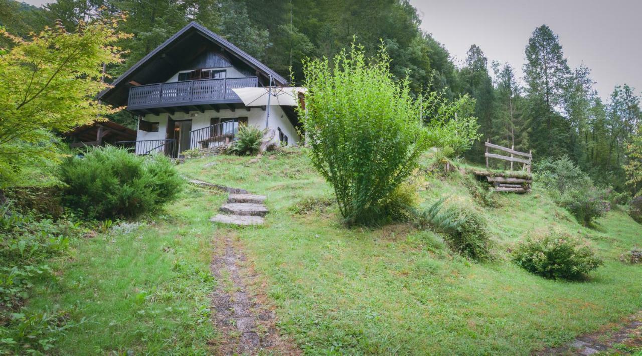 Naturalina Holiday House Gorenja Trebusa Экстерьер фото