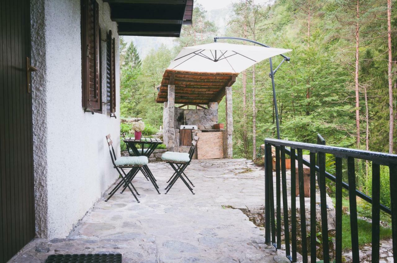 Naturalina Holiday House Gorenja Trebusa Экстерьер фото