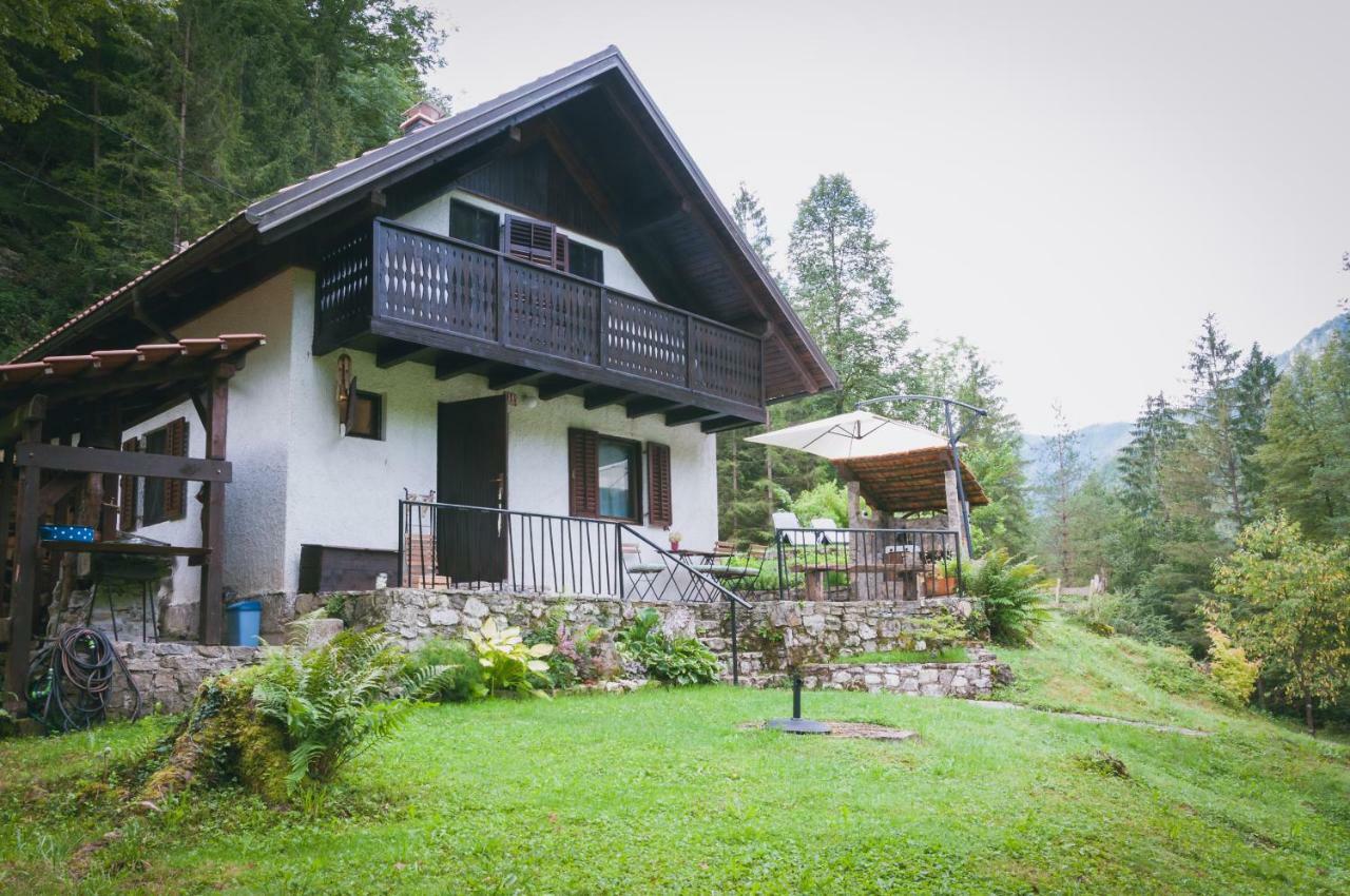 Naturalina Holiday House Gorenja Trebusa Экстерьер фото